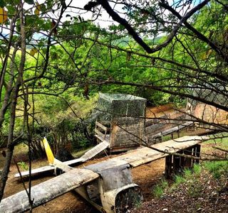 Paintball Island