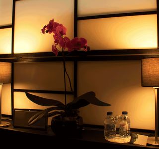 Antonio Campos Holistic Massage Therapist