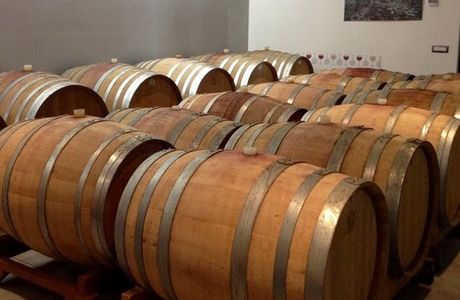 Cantina Terenzi
