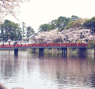 Odawara Ohashi Bridge