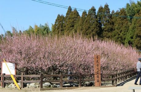 Fukoji temple