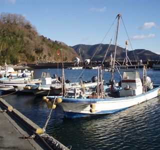 Takashirohama