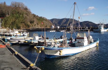 Takashirohama