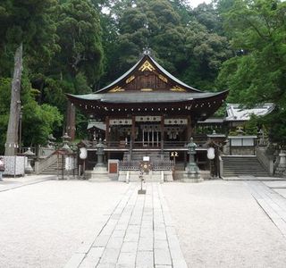 Ruins of Mt. Hachiman Castle