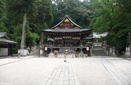Ruins of Mt. Hachiman Castle