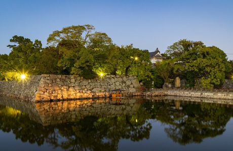 Ujo Park