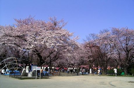 Nishi Park