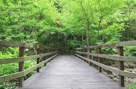 Tianming Mountain Spring
