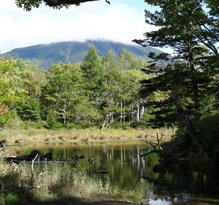 Izumiyado Pond
