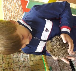 Touching Zoo Zhivaya Skazka