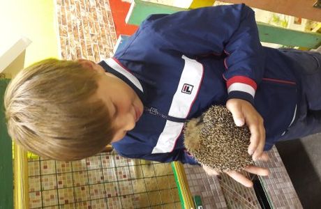 Touching Zoo Zhivaya Skazka