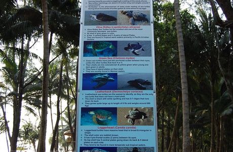 Karmatang Beach