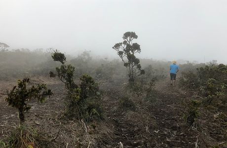 Mount Sibuatan