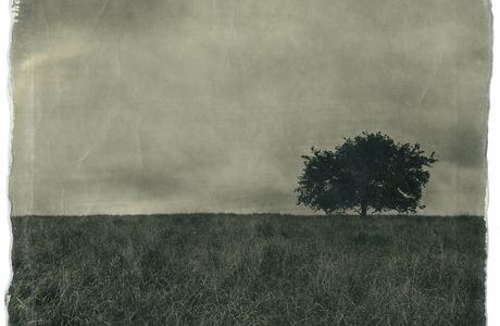 Galeria Zoom de Fotografia