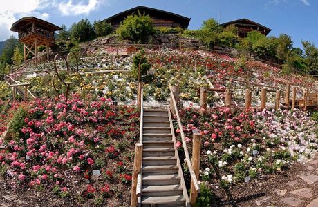 Rosarium Uhrerhof