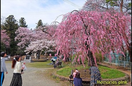 Mizusawa Park