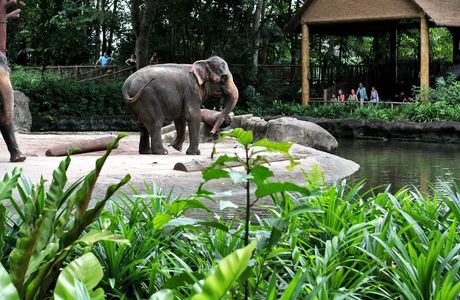 Horii Zoo