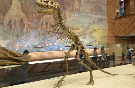 Orlov Paleontological Museum