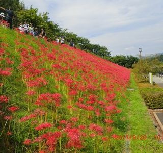 Minamiashigara Sports Park