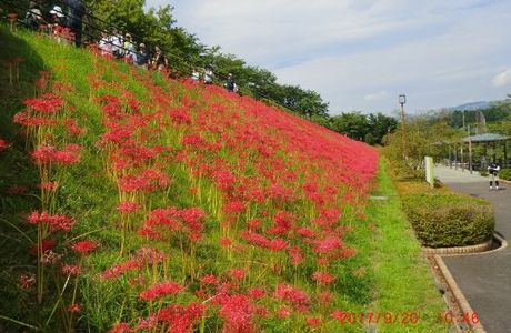 Minamiashigara Sports Park