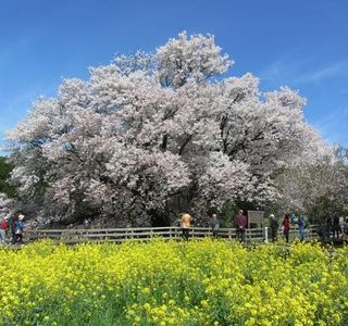 Isshingyo Park