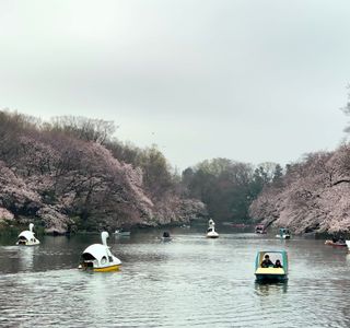 Sengawa Park