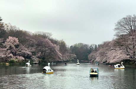 Sengawa Park