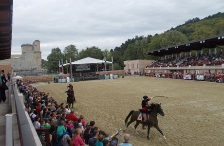 Tournament Field