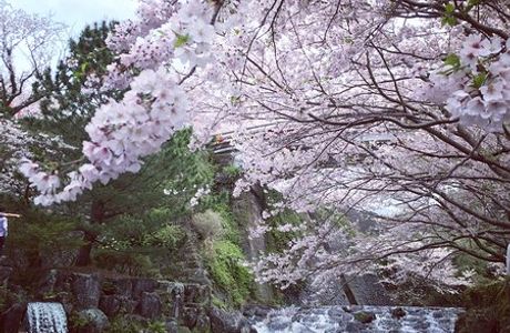 Tachibana Park