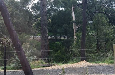 Jessie Traill Nature Reserve