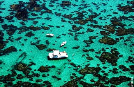 Parrachos de Maracajau