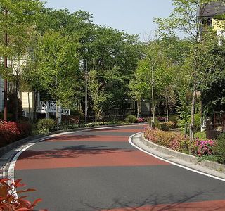 Mukaikogane 4 Go Park