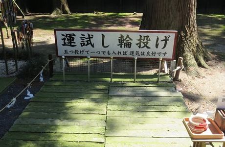 Chichisugi in Iwakura