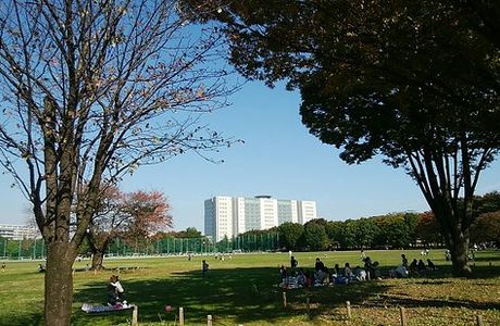 Musashino Chuo Park