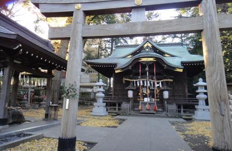Kizikitaijya