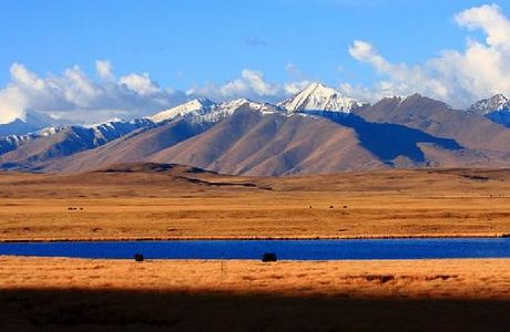 Qiangtang Prairie