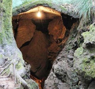 Eco Cave Gardens