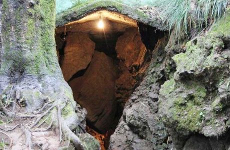 Eco Cave Gardens