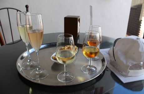 Bodega El Grifo - Museo del Vino