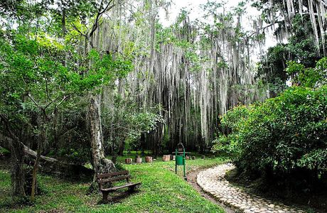 Parque Gallineral