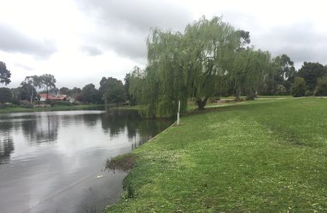 Sutton Lake