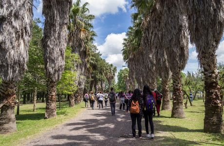 Bosque de los Constituyentes