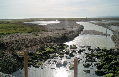 Rye Harbour Nature Reserve