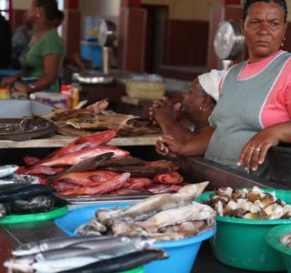 Mercado de Peixe