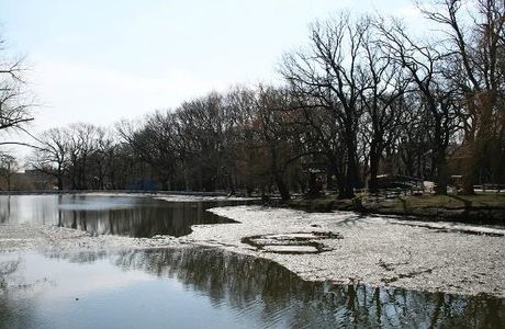 Lukomorye City Park