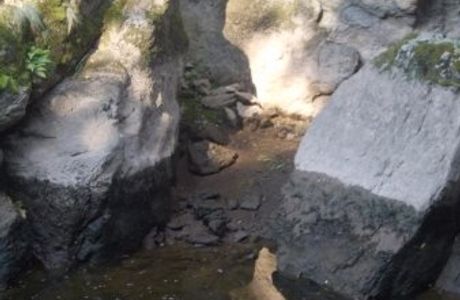 Riegrova Trail