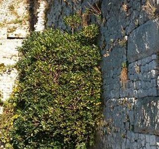 Patrimonio Archeologico