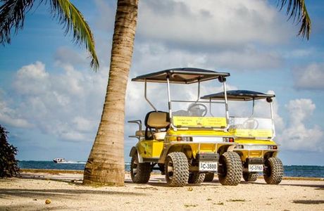 Coconut Carts Belize