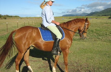 Port Douglas Horse Riding