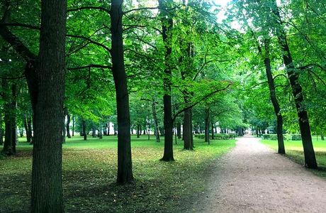 Petrovskiy Park